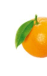 citrus